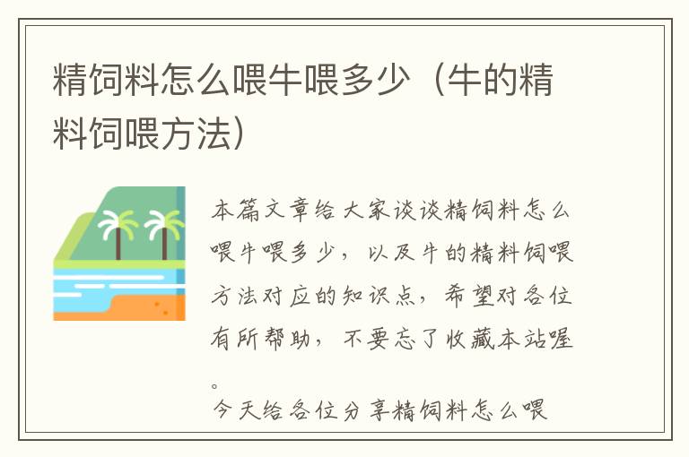 精饲料怎么喂牛喂多少（牛的精料饲喂方法）