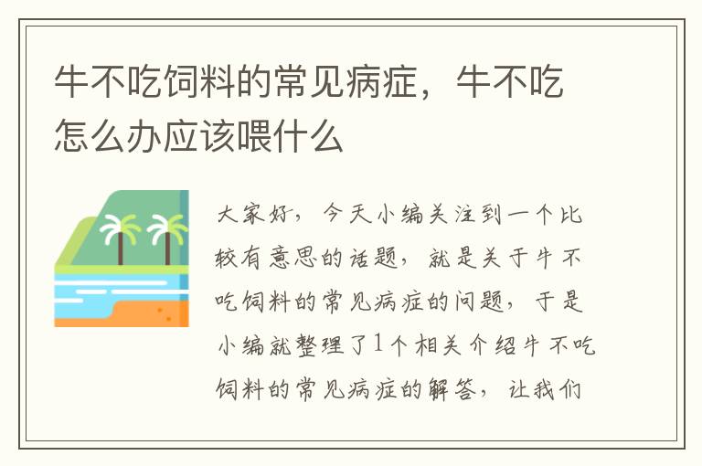 牛不吃饲料的常见病症，牛不吃怎么办应该喂什么