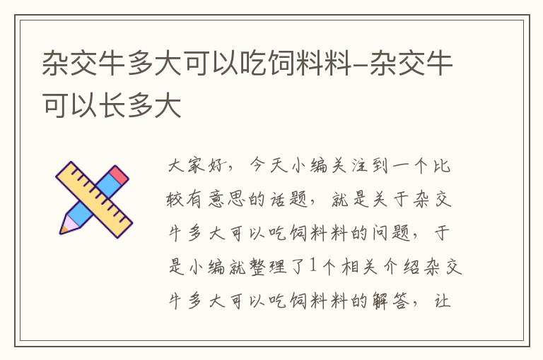 杂交牛多大可以吃饲料料-杂交牛可以长多大