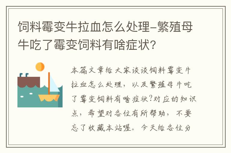 饲料霉变牛拉血怎么处理-繁殖母牛吃了霉变饲料有啥症状?