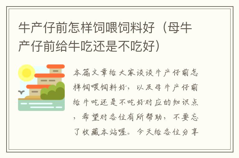 牛产仔前怎样饲喂饲料好（母牛产仔前给牛吃还是不吃好）