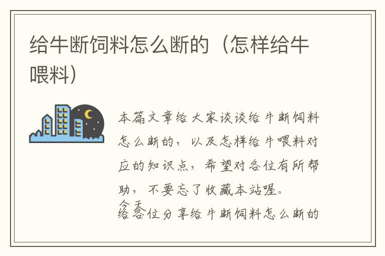 给牛断饲料怎么断的（怎样给牛喂料）