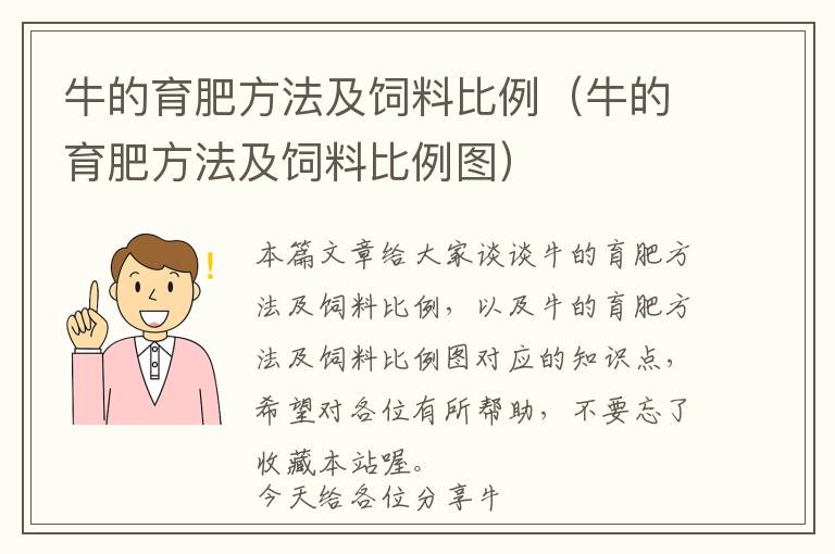 牛的育肥方法及饲料比例（牛的育肥方法及饲料比例图）