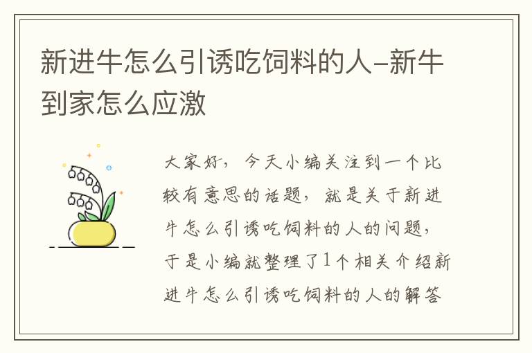 新进牛怎么引诱吃饲料的人-新牛到家怎么应激