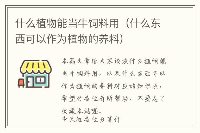 什么植物能当牛饲料用（什么东西可以作为植物的养料）