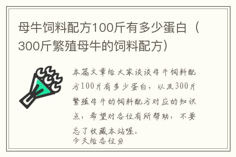 母牛饲料配方100斤有多少蛋白（300斤繁殖母牛的饲料配方）