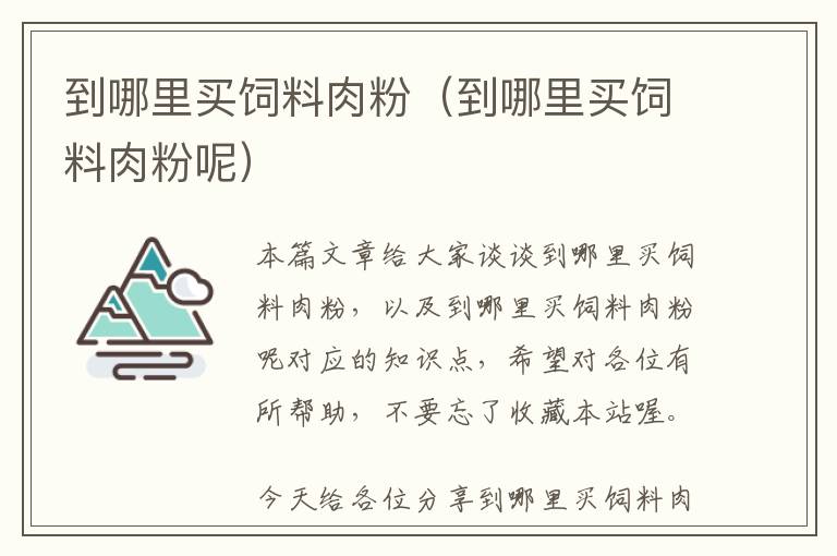 到哪里买饲料肉粉（到哪里买饲料肉粉呢）