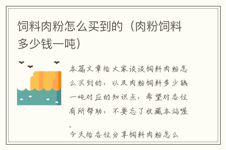 饲料肉粉怎么买到的（肉粉饲料多少钱一吨）