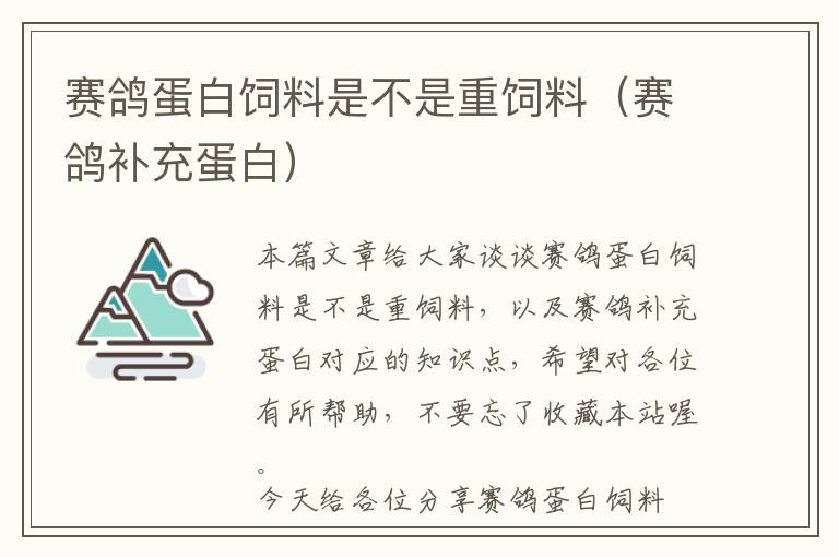 赛鸽蛋白饲料是不是重饲料（赛鸽补充蛋白）