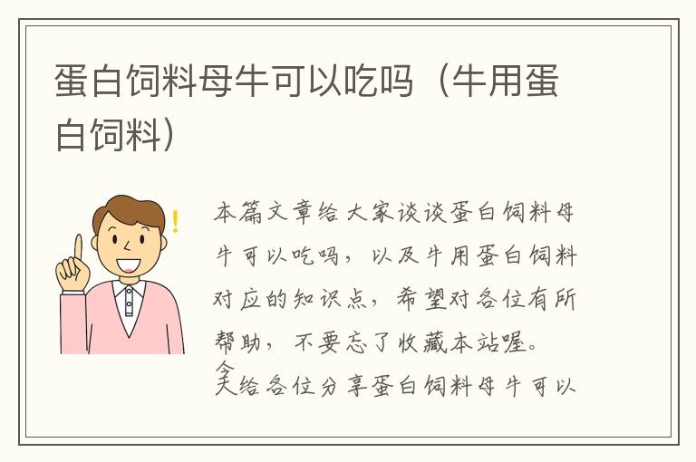 蛋白饲料母牛可以吃吗（牛用蛋白饲料）