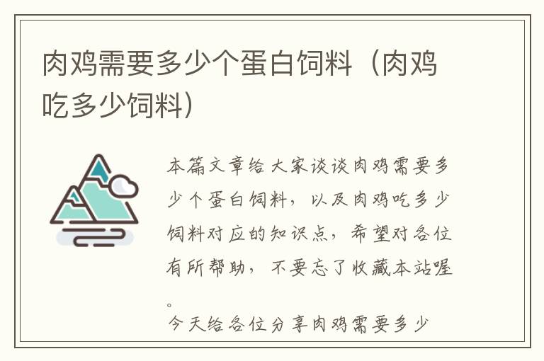 肉鸡需要多少个蛋白饲料（肉鸡吃多少饲料）