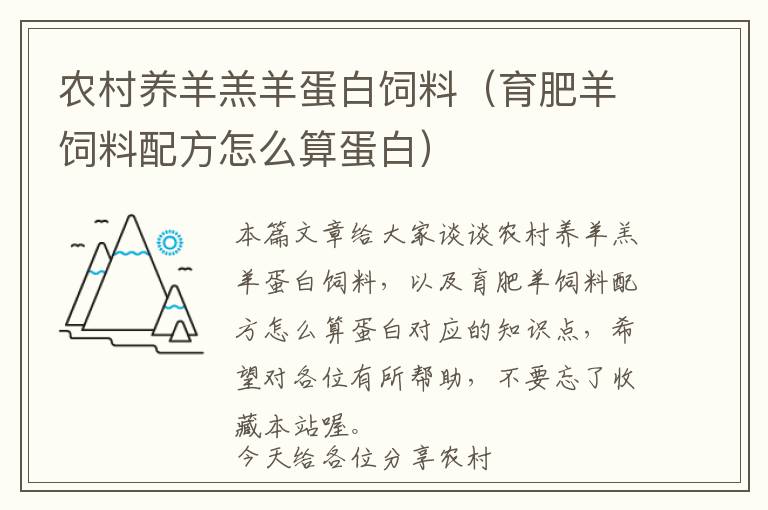 农村养羊羔羊蛋白饲料（育肥羊饲料配方怎么算蛋白）