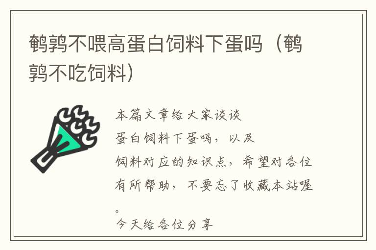 鹌鹑不喂高蛋白饲料下蛋吗（鹌鹑不吃饲料）