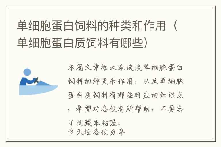 单细胞蛋白饲料的种类和作用（单细胞蛋白质饲料有哪些）