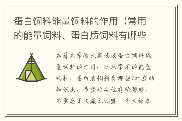 蛋白饲料能量饲料的作用（常用的能量饲料、蛋白质饲料有哪些?）