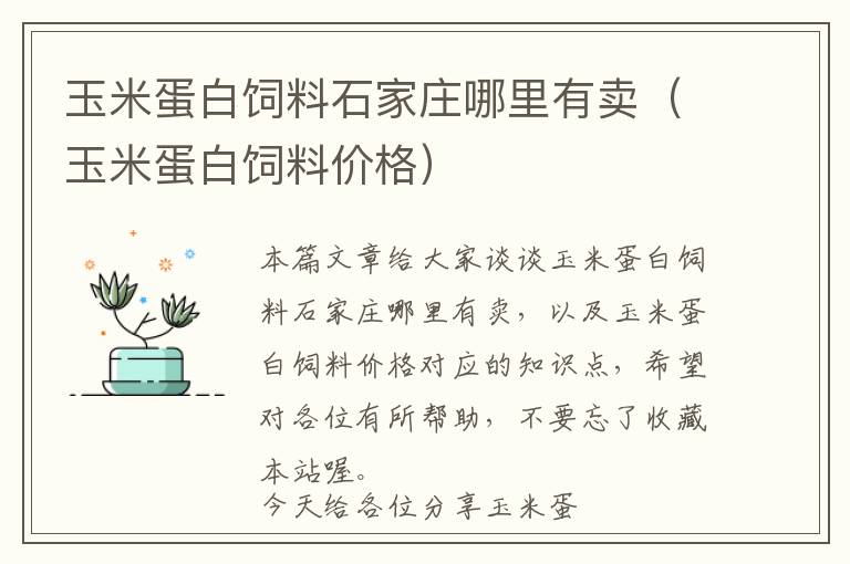 玉米蛋白饲料石家庄哪里有卖（玉米蛋白饲料价格）