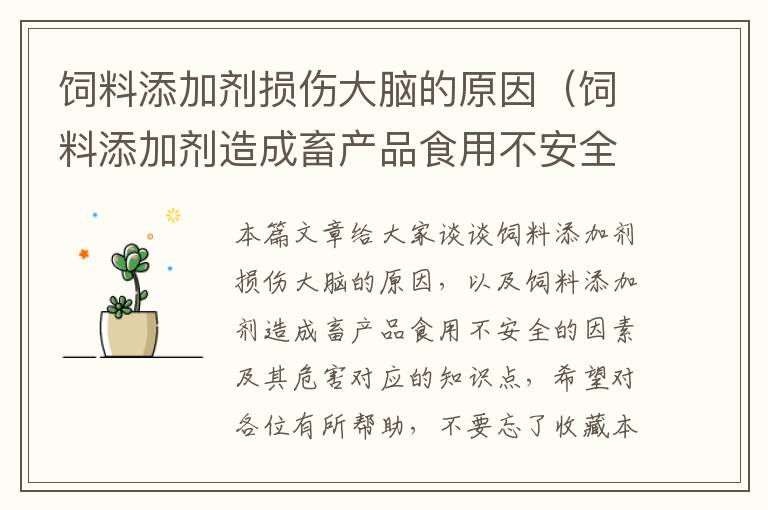 饲料添加剂损伤大脑的原因（饲料添加剂造成畜产品食用不安全的因素及其危害）